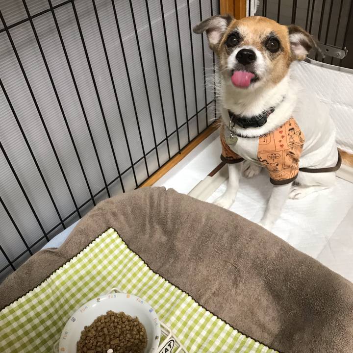 A964632d b7a6 45f9 b432 8cb8d0ebc6b7 1540717292876