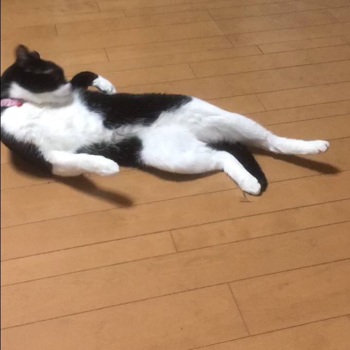 A9648aee bac7 477a a4b8 20de2b5b4e1b 1589248064211