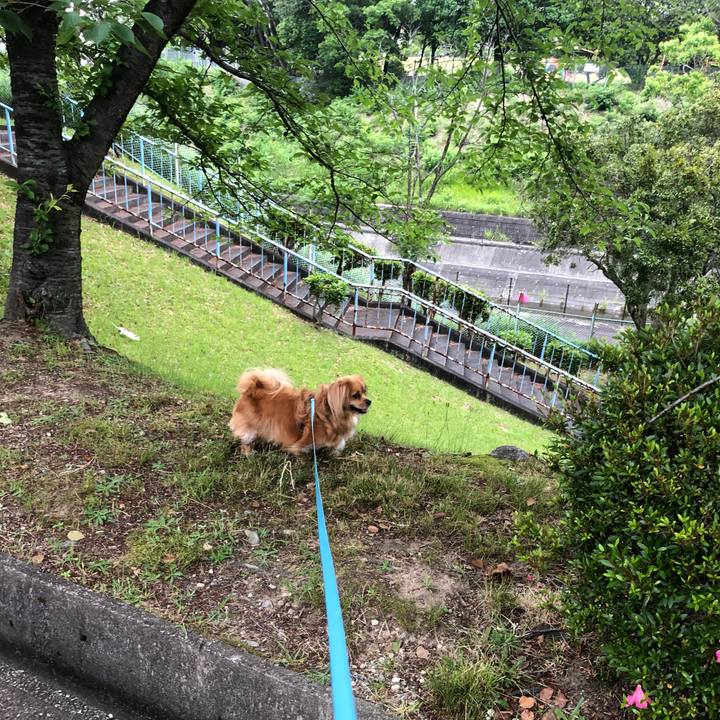 A9648fbd 149a 4d82 8961 34c9c63c03da 1559513449451