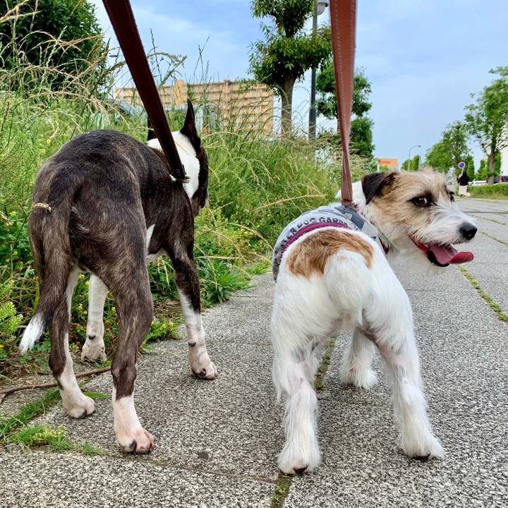 A964e430 6af6 4d61 a141 968df192d7c5 1622721030290