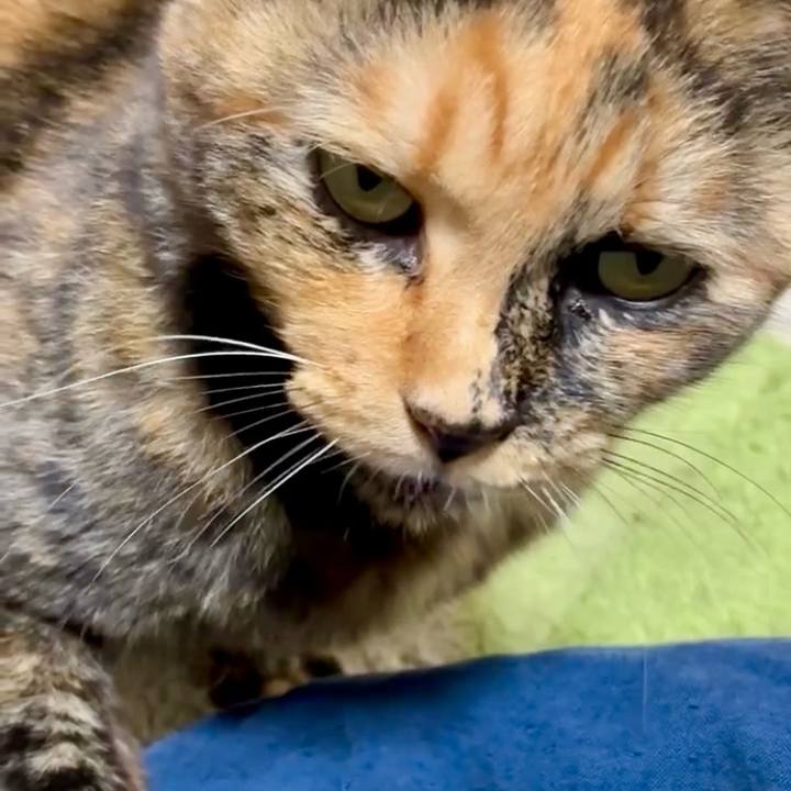 A964f7a1 8517 4f98 a2c1 0ef8c3829374 1762546410678