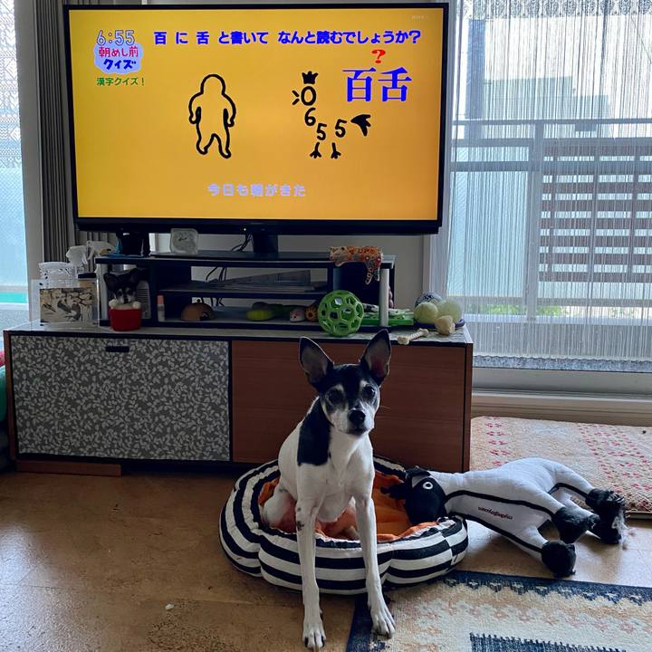 A9650dd6 e0e7 42d5 8624 5c39a798c12a 1621375570147