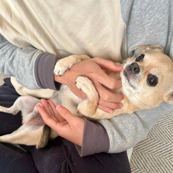 A965113b 45dc 4039 8035 c8903e7a8138 1734262225411