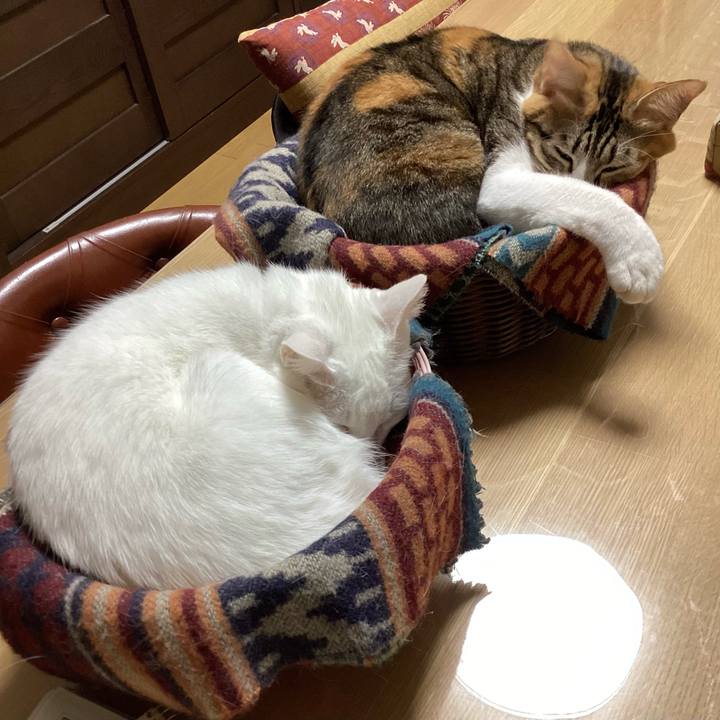 A965583c ef0c 4bca ab96 5079dc0c803b 1672501019299