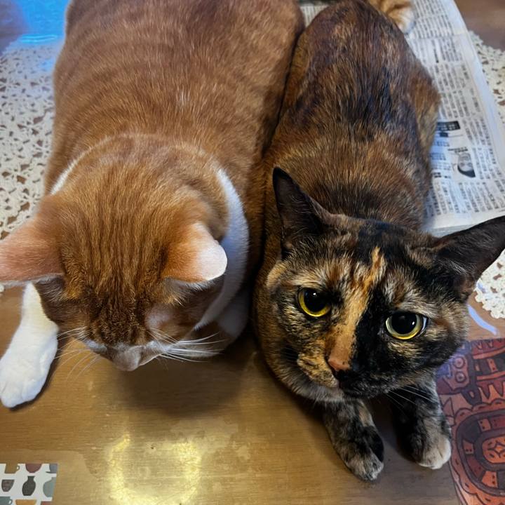 A965679b 1c01 461f 8b1f 631215dca93d 1734992142317