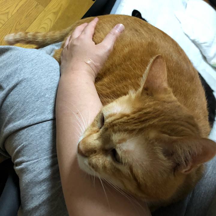 A96582cc 46e0 4766 8b2d 0f774e27d336 1598016474939