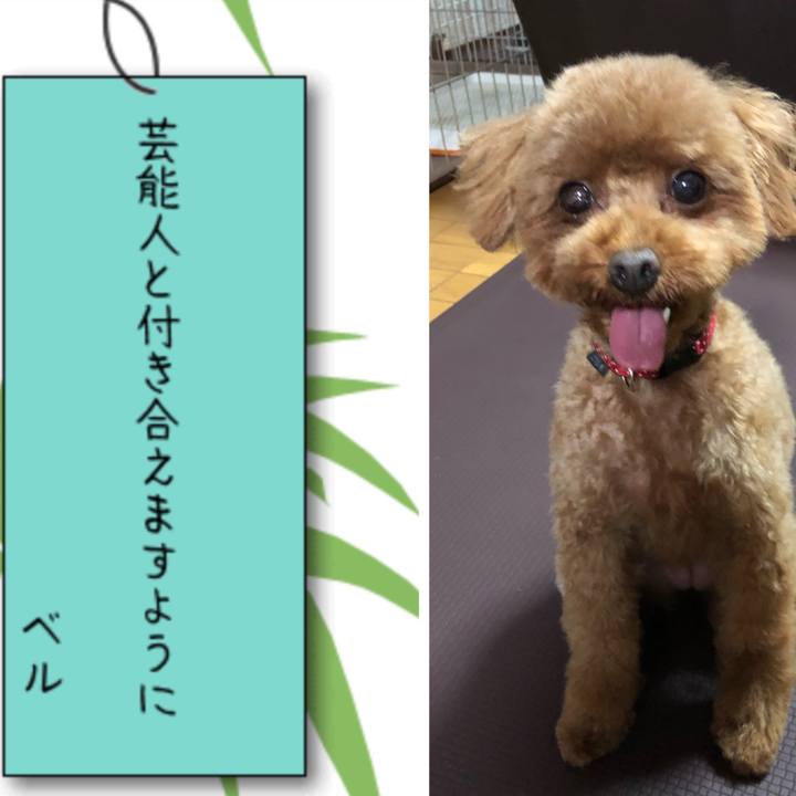 A965ac6c 7852 467e b8fa 5123bd10f77f 1562498059929