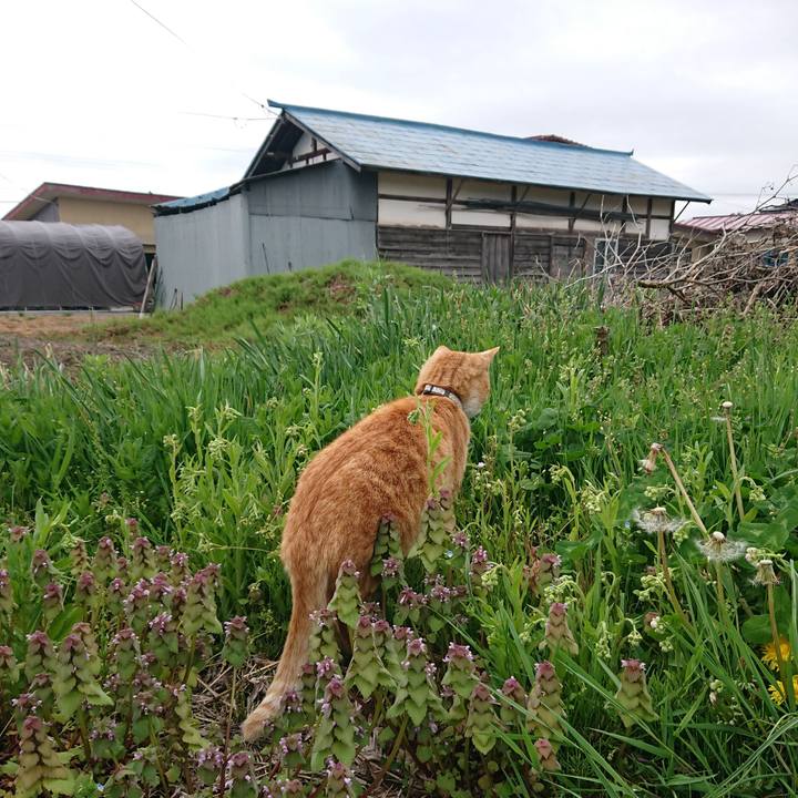 A965b7c5 6c24 4085 9a0e 19f0e3638878 1588737788746