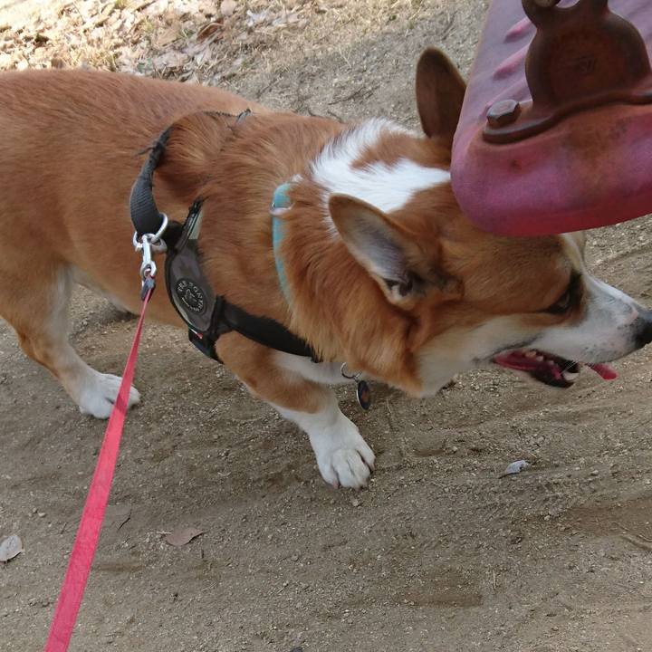 A965bdfd 443c 41c5 b875 4bd8f8cf1f53 1646979952124