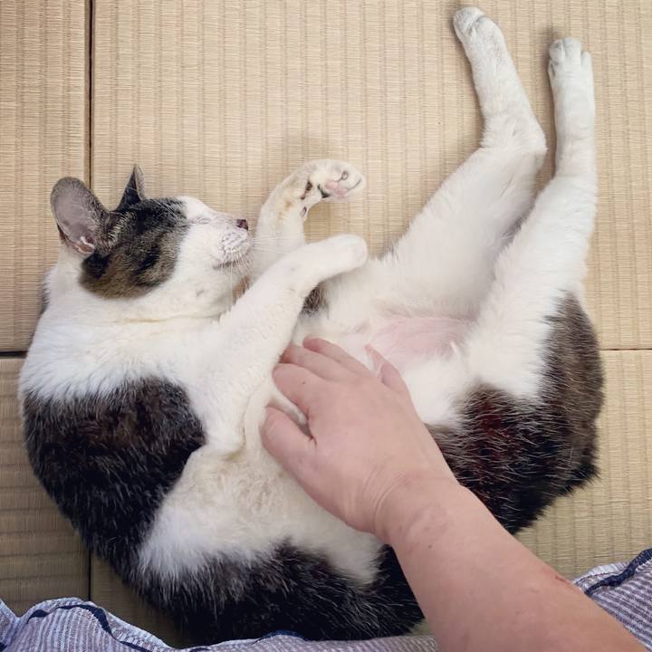 A965db65 778c 4e73 ae92 6370374dddac 1598172864812