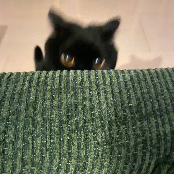 A966cc1d 3e40 4a4f b436 bd4f88ac8e18 1704463957097