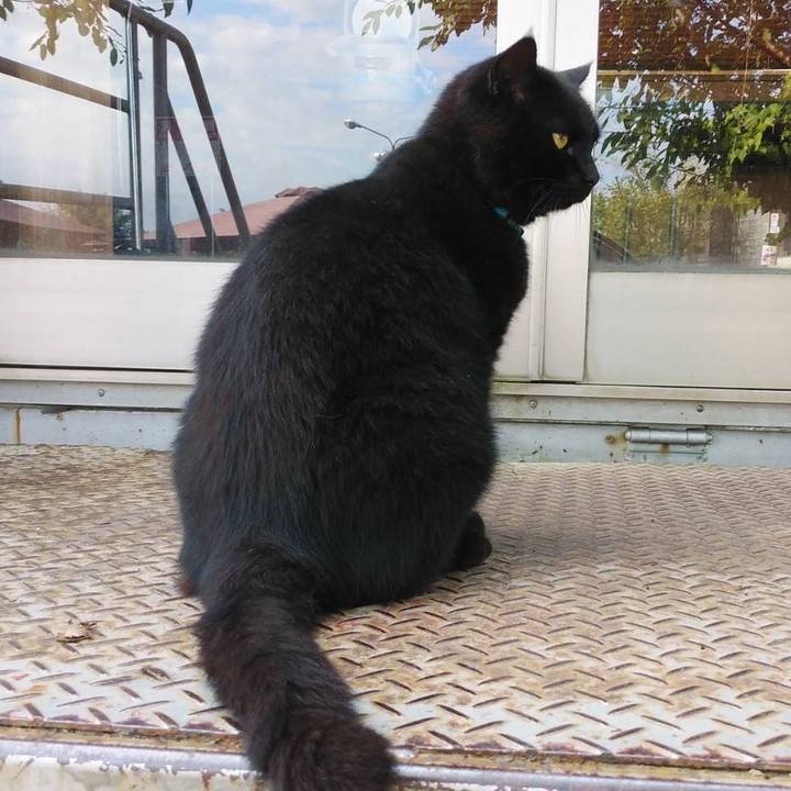 A966cc49 722a 4033 b338 7f0675411ca7 1602546394907