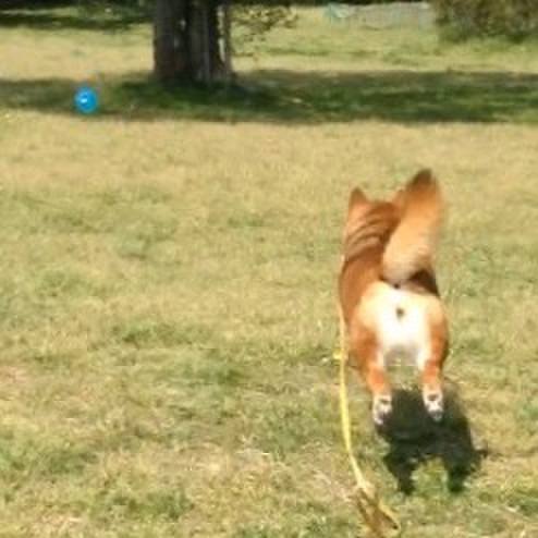 A966ebff cb9f 4d2e 89db 0c61f3fc9766 1523332970707