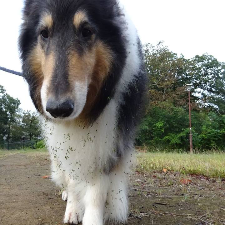 A9675c6c a1f1 4962 a12e 3b036402bc21 1571402631577