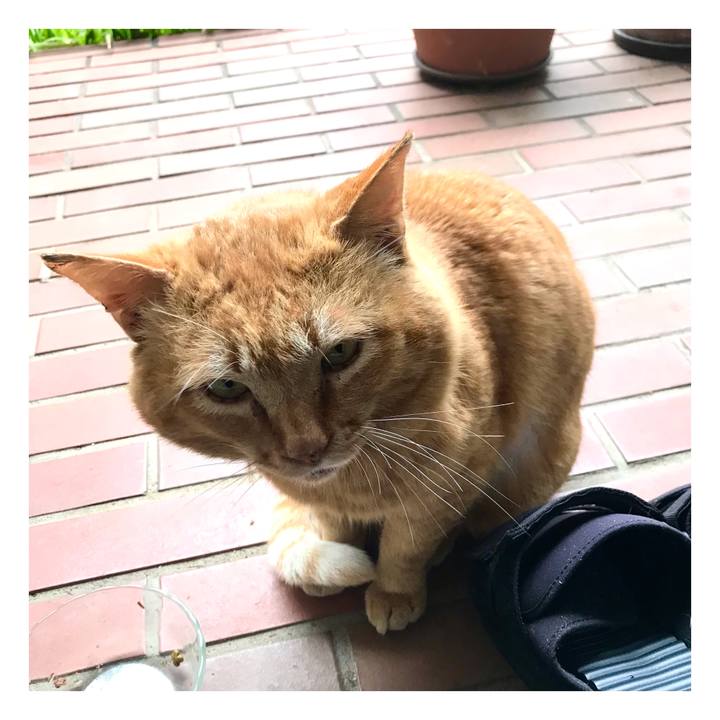 A967a0b4 23ee 4459 8e3f d95ca314f94b 1648631136707