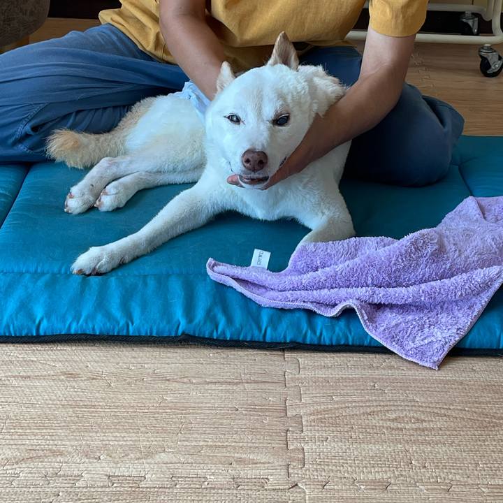 A967a4b4 0dbd 4c72 b0ff ee7b4d1d2fc1 1662377385397