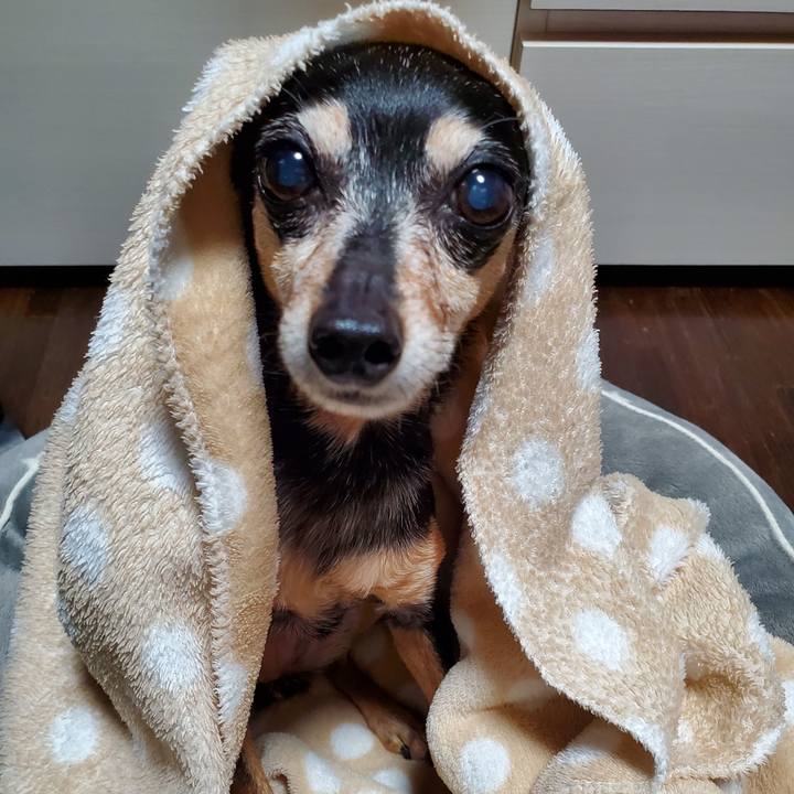 A967b9bc 2f0e 4683 924a 3163790af5e0 1674169943510