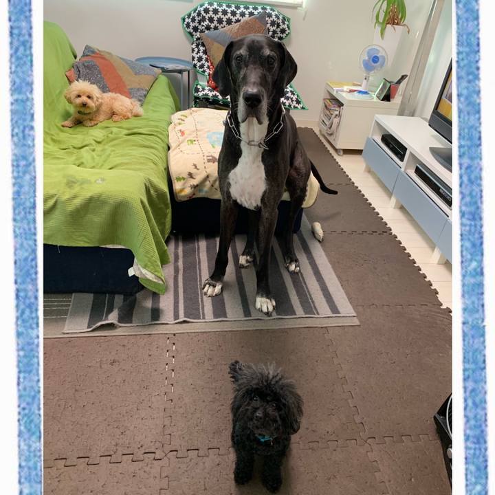 A96803a7 5ca2 43d5 92dd ad3e8a989b2f 1559168090482