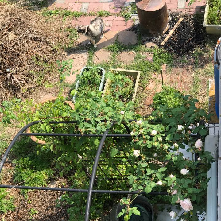 A968148d 5c5b 4da8 abd1 db42f631909a 1523252239641