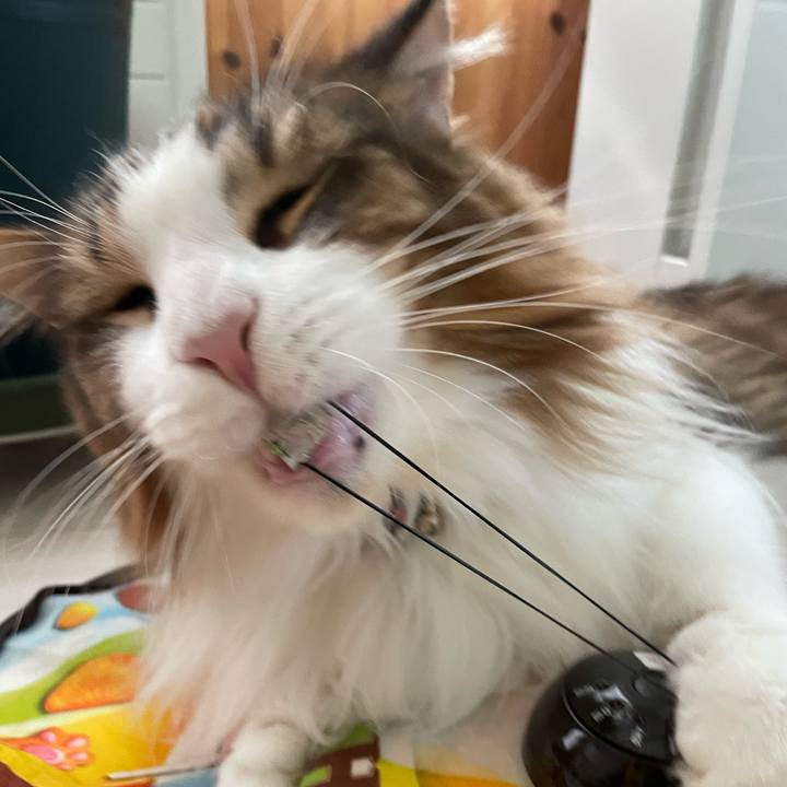 A9686b9c 797a 4771 9c85 1d2e4527f3a1 1699601351312