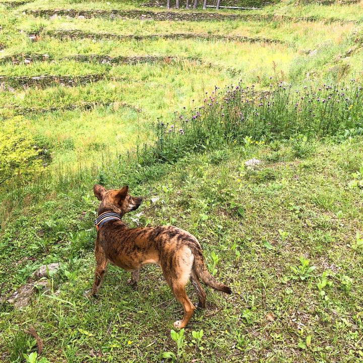 A968b073 c6f6 4e79 8bb2 221a7f9e4801 1587626561698