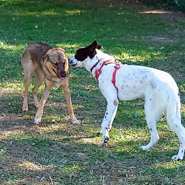 A968c1e2 4864 48ac 9a9e 70b74c3547df 1698544337867