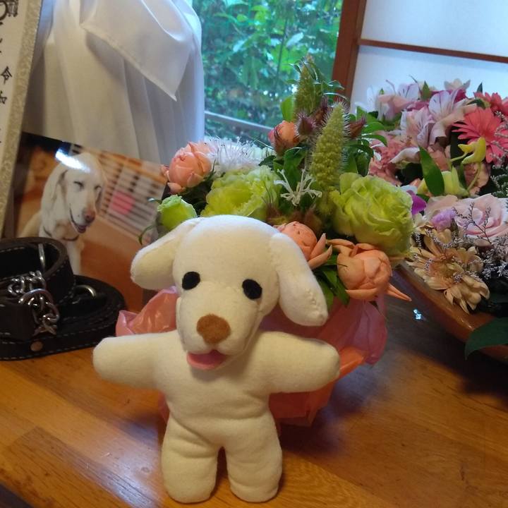 A968c274 ca9c 4f7a 842a 07db8f7ab7aa 1562317804371