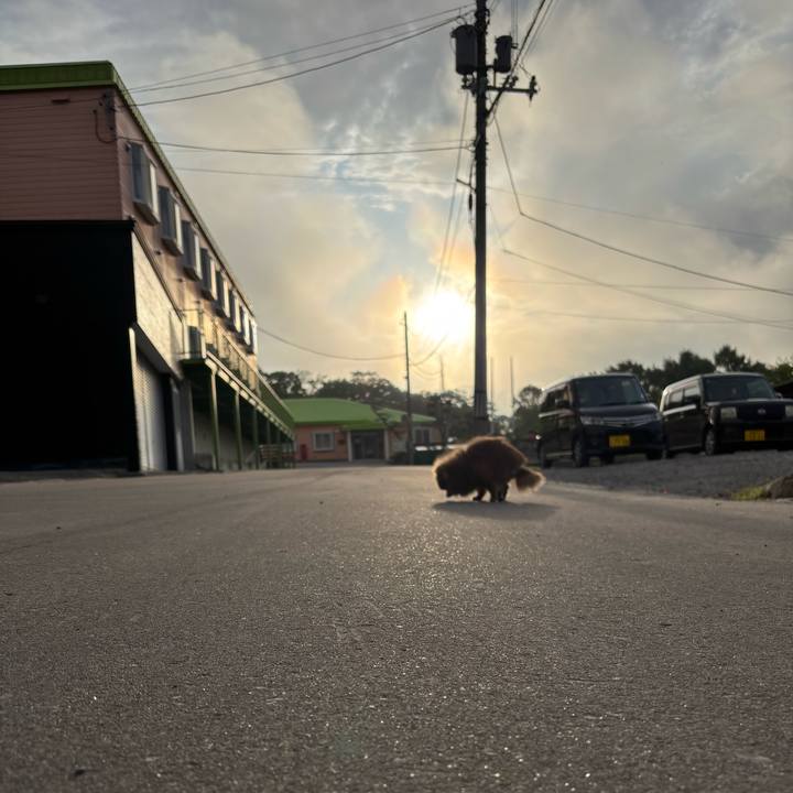 A968cca5 ed56 41ac beb6 121eab3cbe19 1748747104555