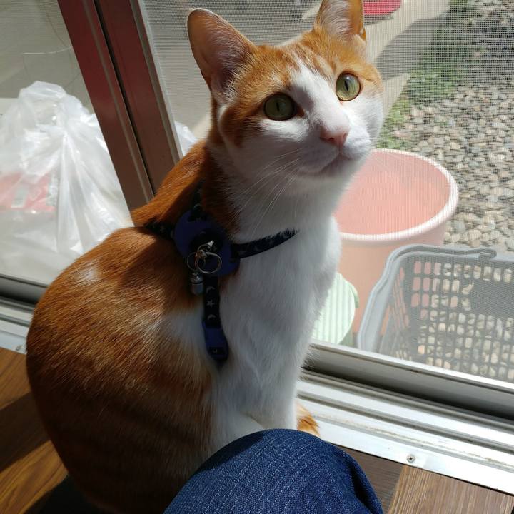 A968e60c d9e3 40ca 8c45 9aabb813ed94 1525487524817