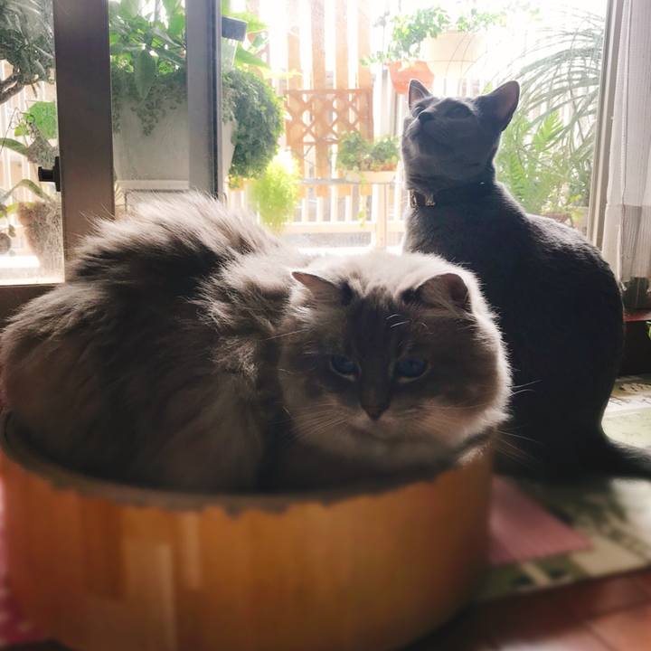 A968eacc 852b 471f adfc cb611a56ab44 1533212248755