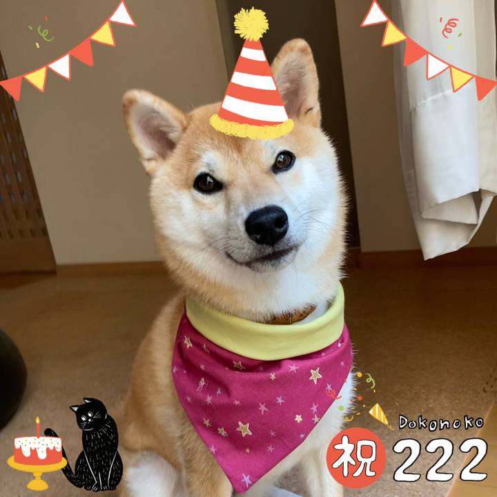 A968fa6f 29a1 4c7e 87f5 f6ab395adfbf 1645497758806