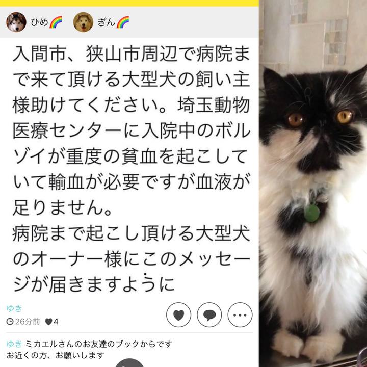 A969147c 222f 46b8 beab ea3b44dde11c 1559043732869