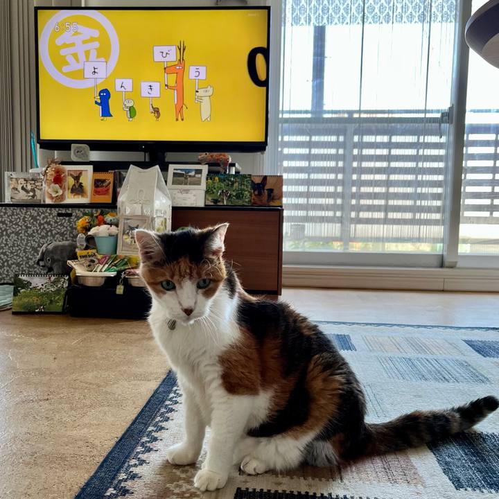 A9691e37 bee8 43e8 b28b b7c343df25bb 1691100712607