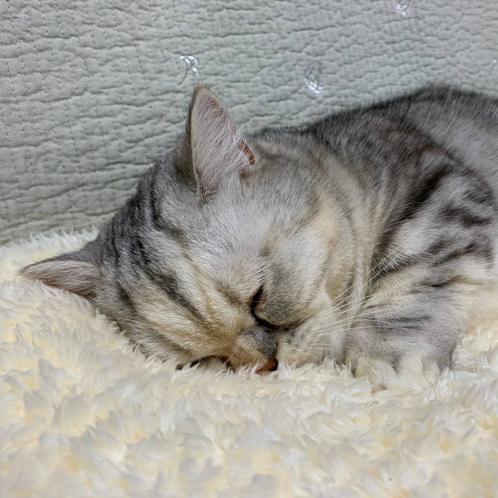 A96931d9 c5d0 4192 b33e 6e41247bbceb 1708699445724