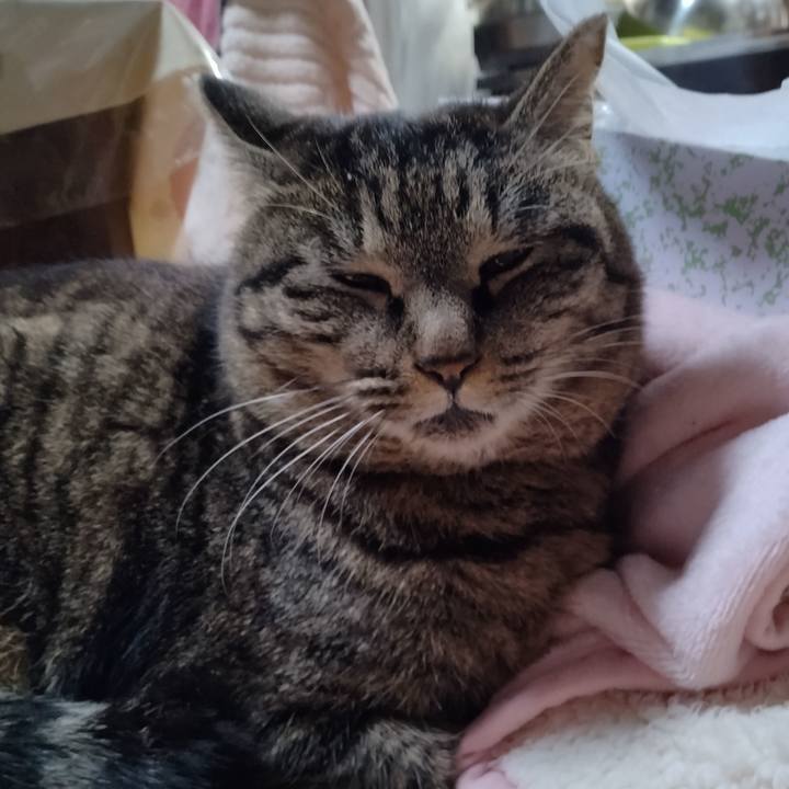 A9693c76 c913 4958 99ef 42d35afbcd73 1676289728630