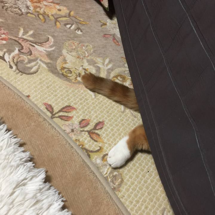 A969472e 04ac 4455 a9a4 ee230d271801 1544284616669