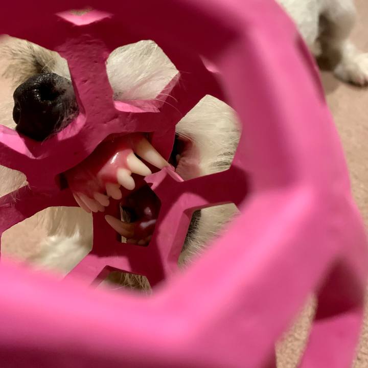 A9698eef bc2a 4ad5 98ed 9add90ff7fd9 1675855320624