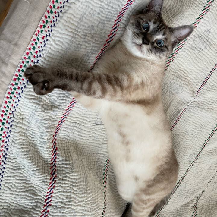 A96998d7 0b3e 4556 8103 c9a420c8a777 1716086429645