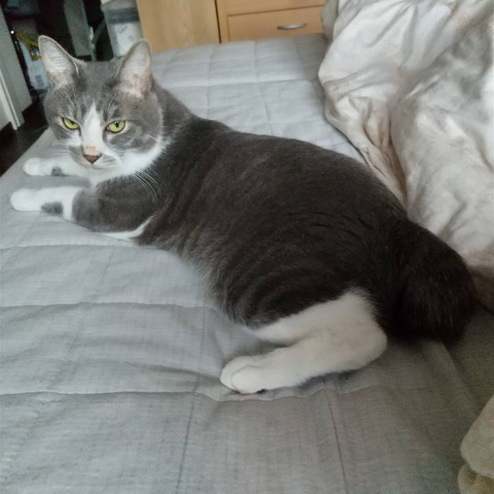 A969a879 8293 4ce6 8e2a af49b9fc0a46 1622410727427