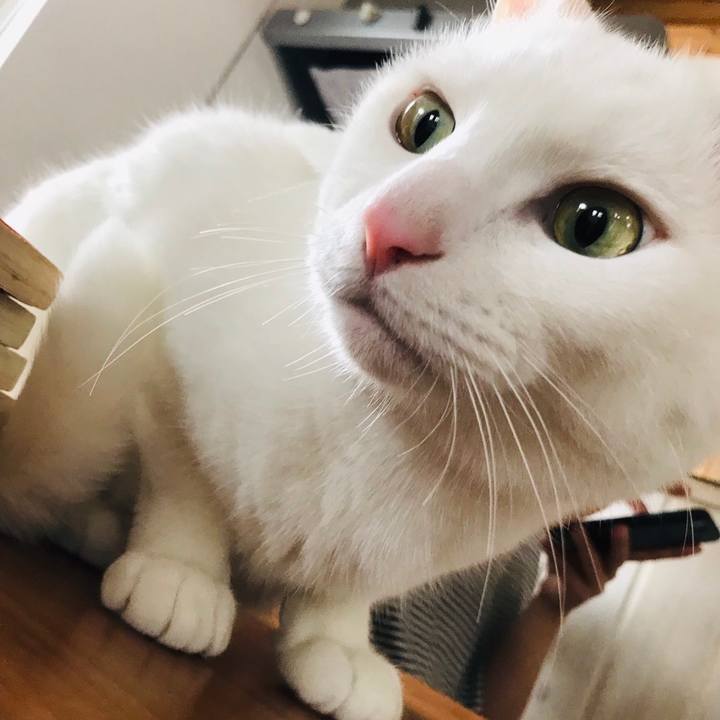 A969ac66 f13d 4e74 81c0 f323d97f5d2f 1588417193081