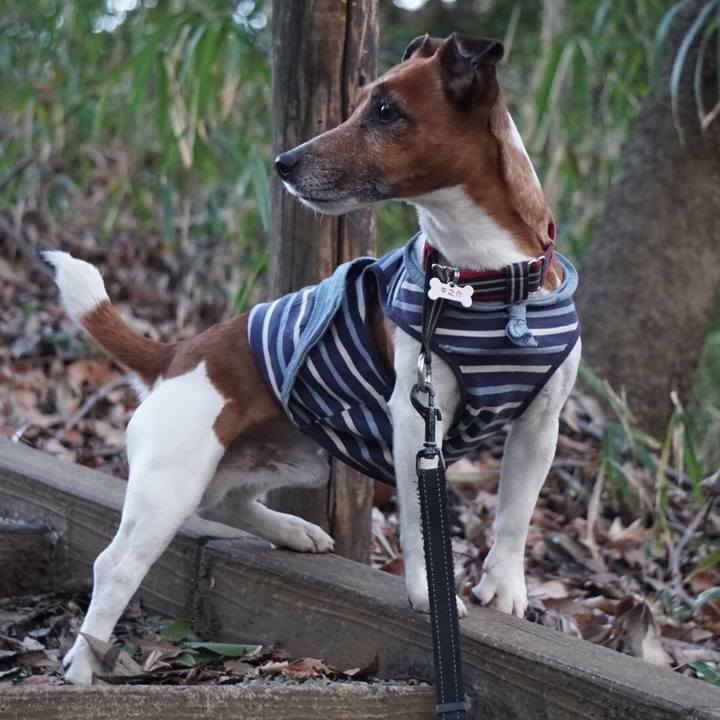 A96a7aee 23ee 4664 8718 d4c6e4ec1e04 1584572437538