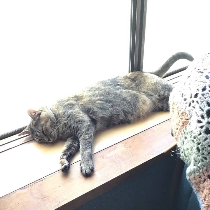 A96abfdf 71de 41ef 9b25 329b6b54b8c5 1689592837235