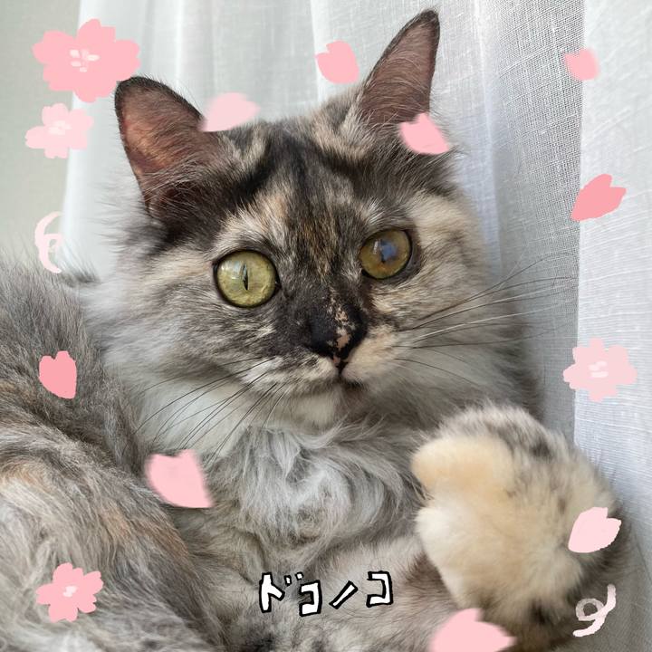 A96ad36c 6f8b 4c64 9d0c ce32749dc06a 1744256577494