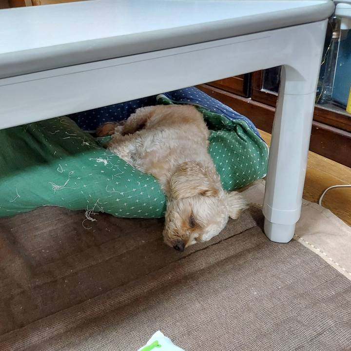 A96ad4e4 ccf8 4647 9682 c625daf6bef9 1626784066024