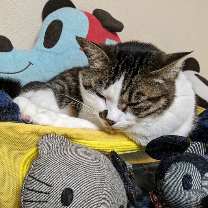 A96aed6b adf5 4ec1 833e be249a37ee9d 1714447159578