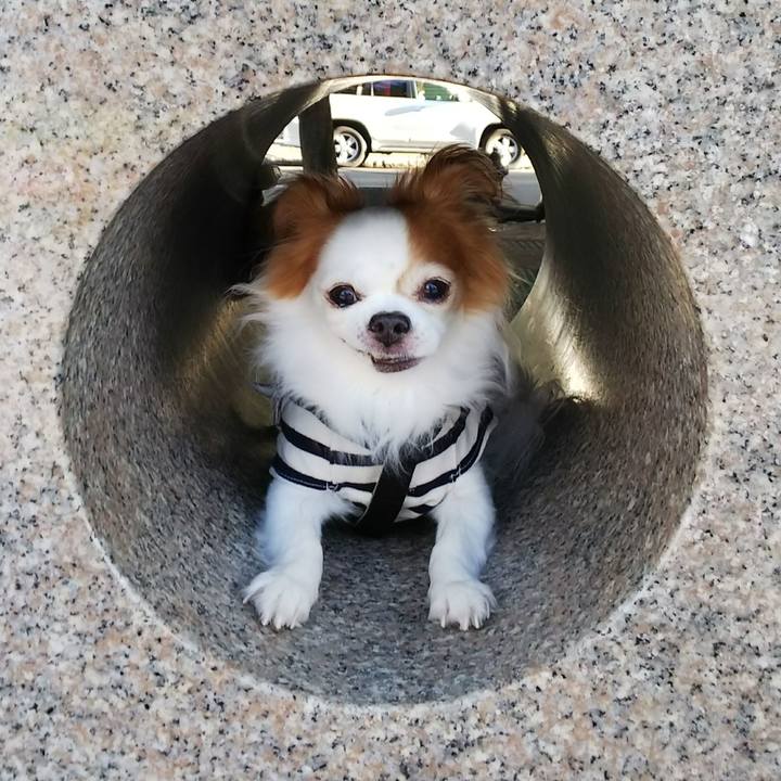 A96af0ad b44c 43bc 894b 053924d03497 1535792275156