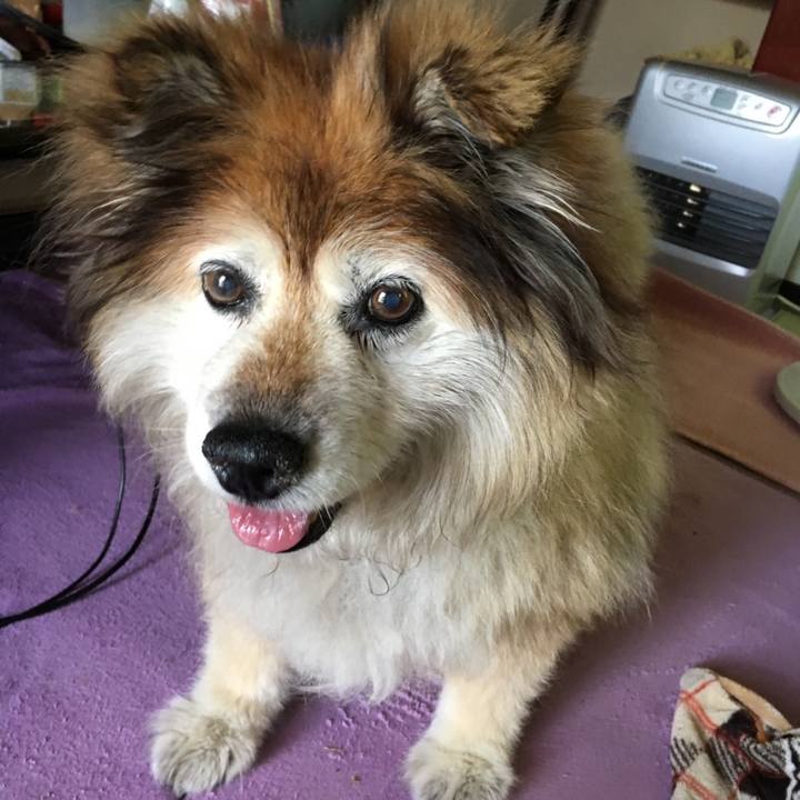 A96b03ca 7e6f 4aa7 bf04 e4ce5a504558 1570124154634