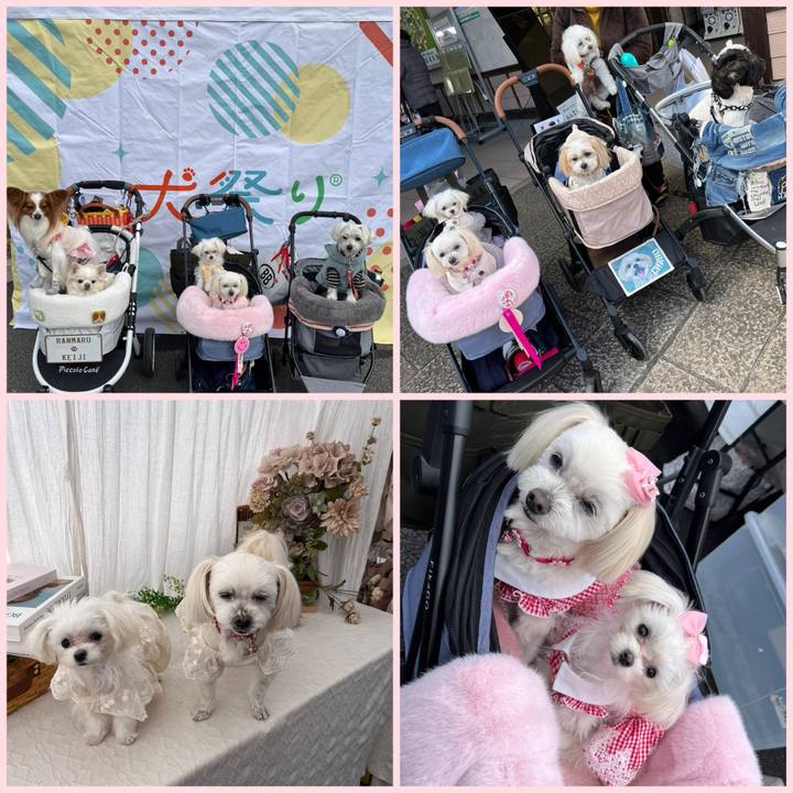 A96b3ed5 95d4 420c 8b94 bd019994b0c8 1708172361431