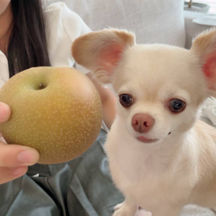 A96b3f6a 65ce 4fa9 a4b0 e0fffb66d8a9 1723632300305