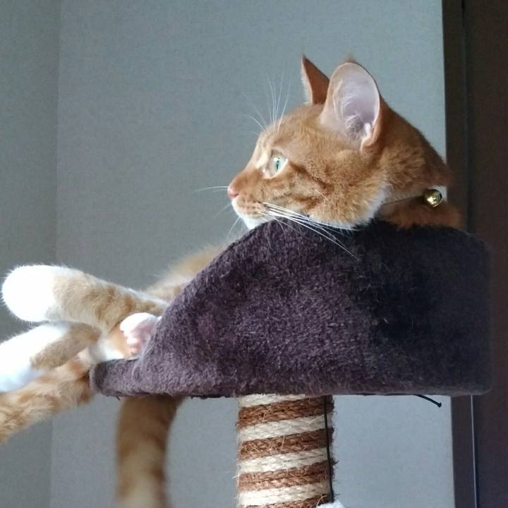 A96bbcbe a1d8 458b 8067 6bd564b0fad8 1562997408714